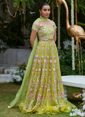 Nora Kiwi Lehenga Choli