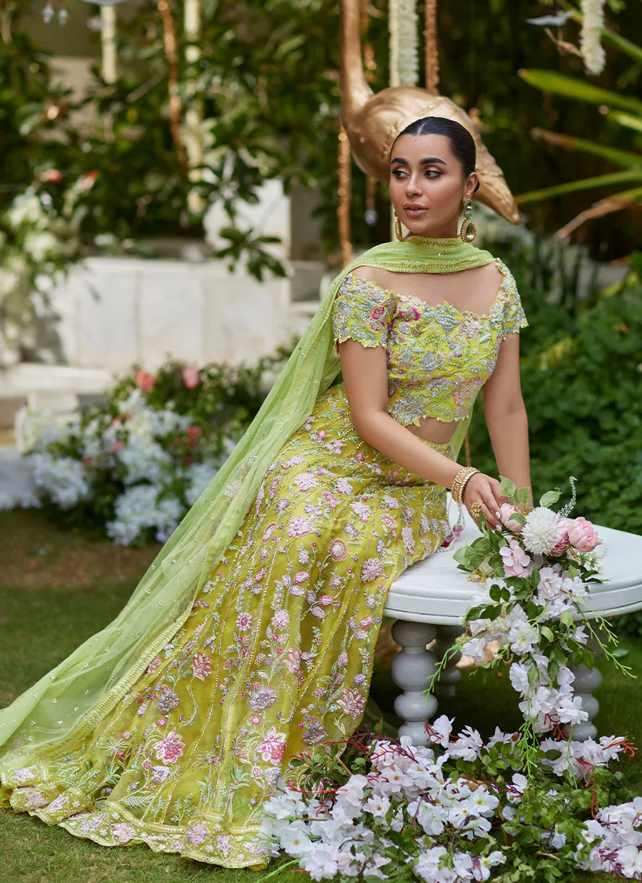 Nora Kiwi Lehenga Choli