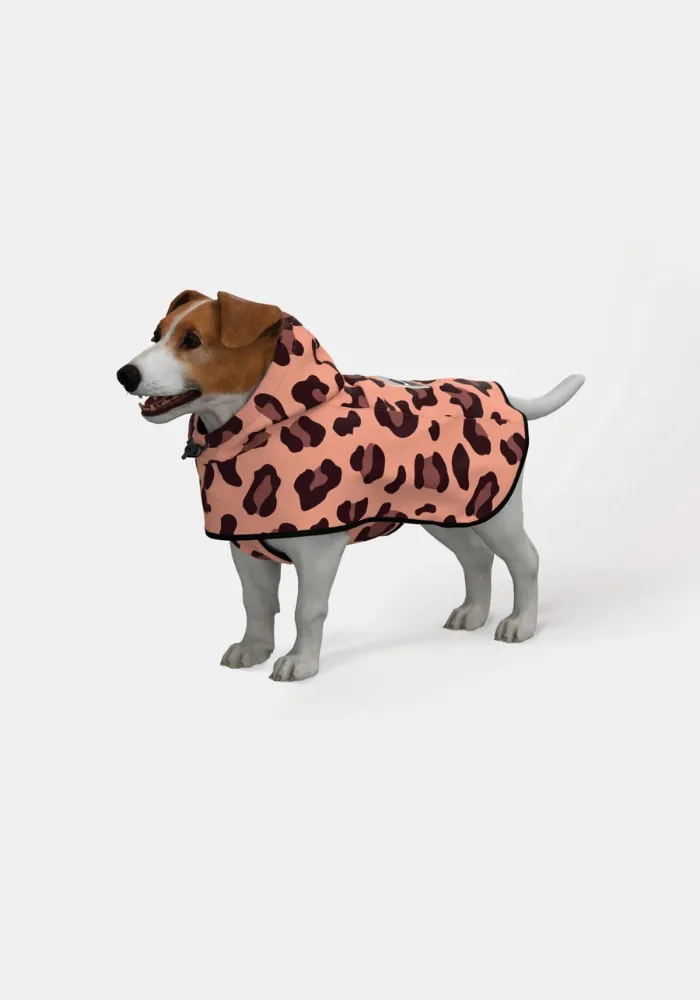 Poncho Pour Chien