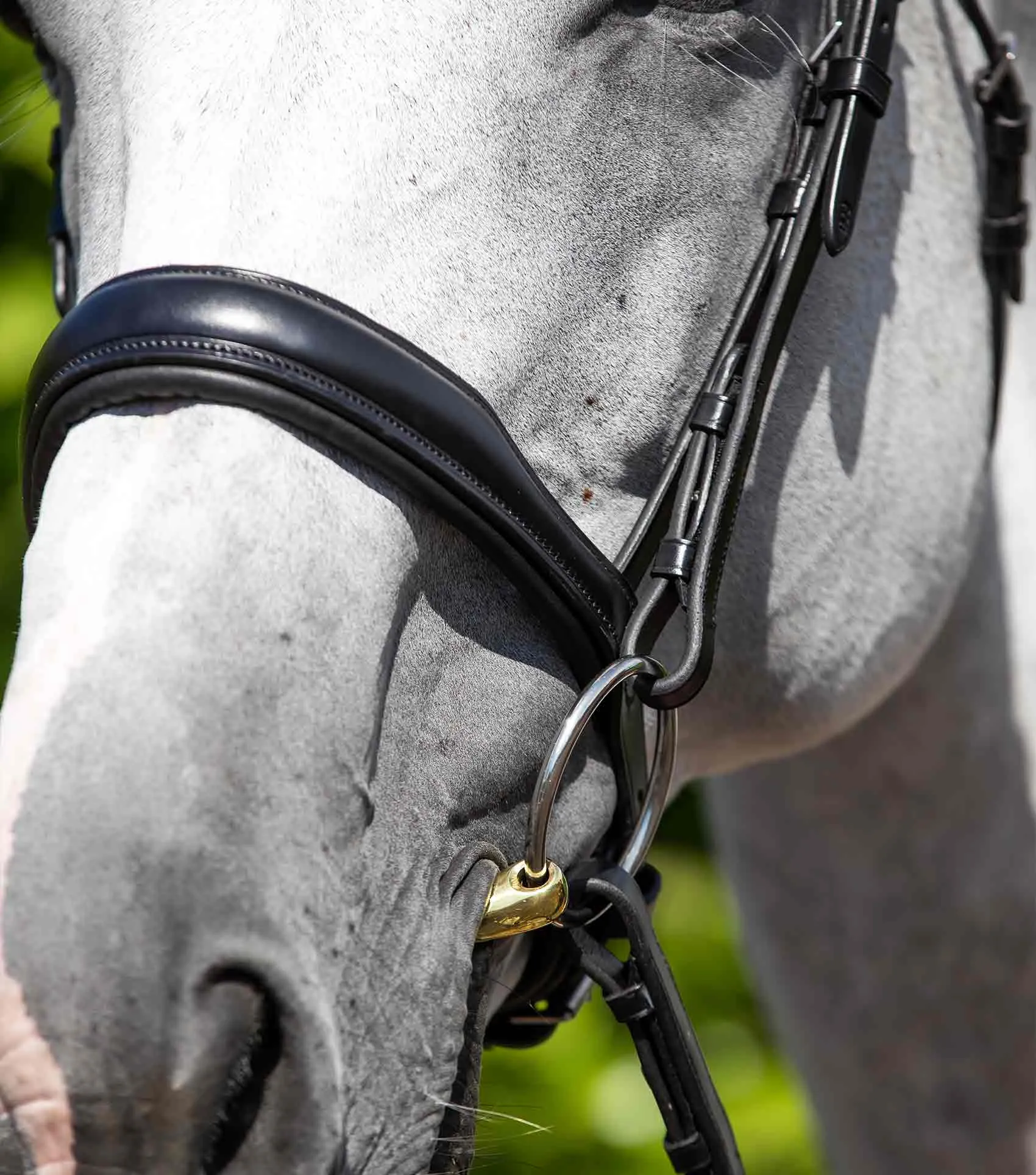 Verdura Anatomic Cavesson Noseband Black